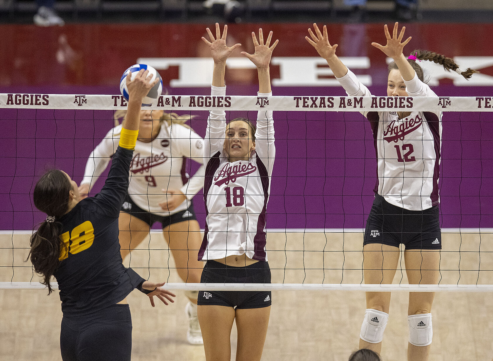 Aggie volleyball